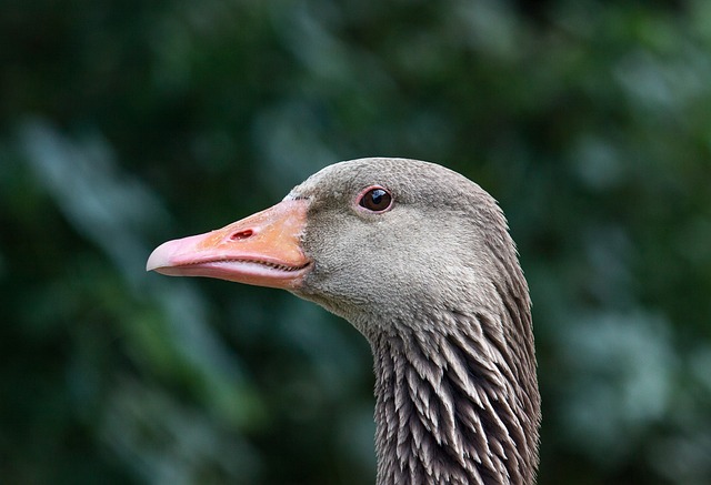 Foto do arquivo: fornecida por 【mega sena acumulada hoje 2022】