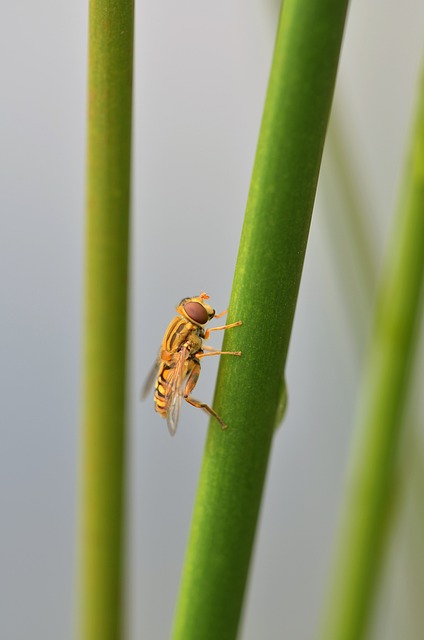 Foto do arquivo: fornecida por 【resultado da lotofácil dia 7 do nove】