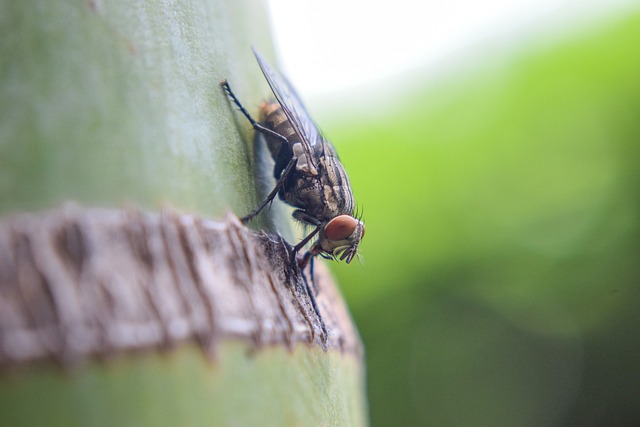 lotofácil palpites