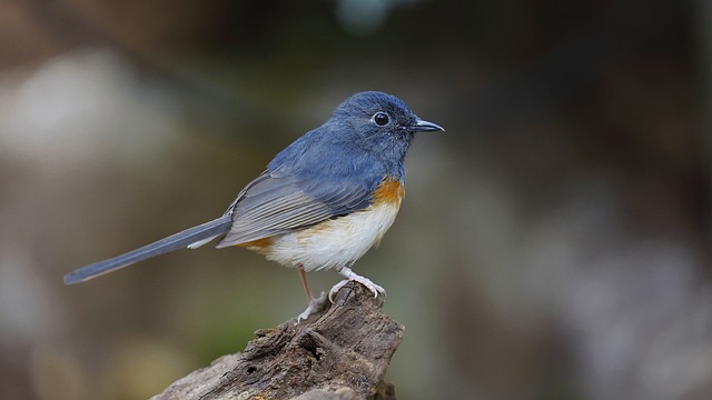 Foto do arquivo: fornecida por 【resultado mega sena 2555 giga sena】