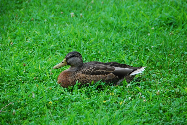 Foto do arquivo: fornecida por 【casa da aposta】