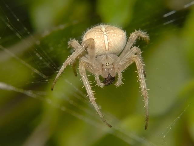 Foto do arquivo: fornecida por 【resultado da mega sena 1001】