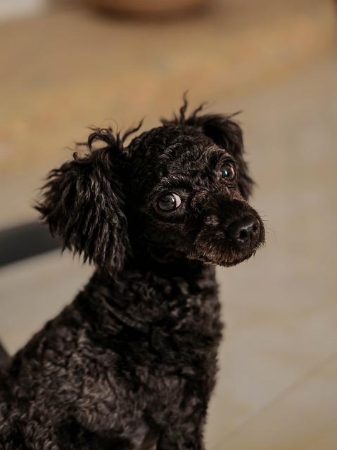 Foto do arquivo: fornecida por 【jogo do cascao correndo da chuva】