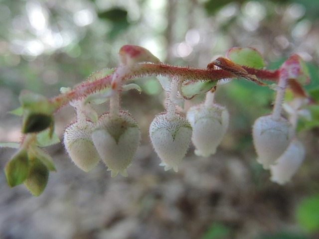 Foto do arquivo: fornecida por 【robem hood】