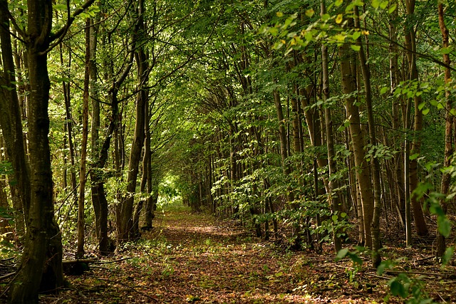 Foto do arquivo: fornecida por 【aplicativos para ganhar dinheiro】