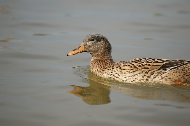 Foto do arquivo: fornecida por 【resultado da lotofácil dia 8 de agosto】