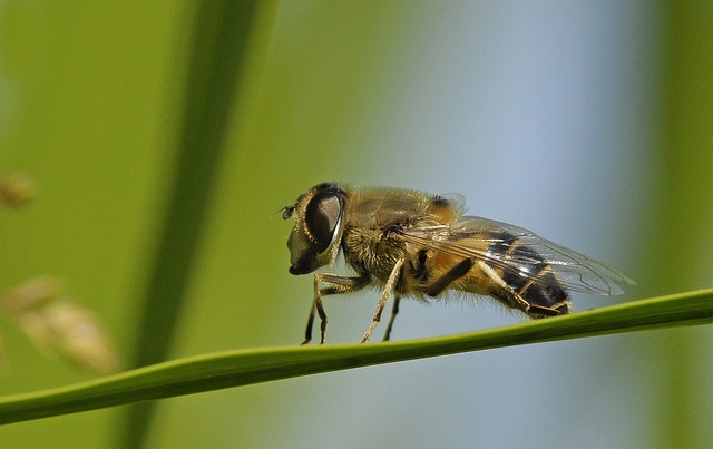 Foto do arquivo: fornecida por 【ganhe dinheiro】