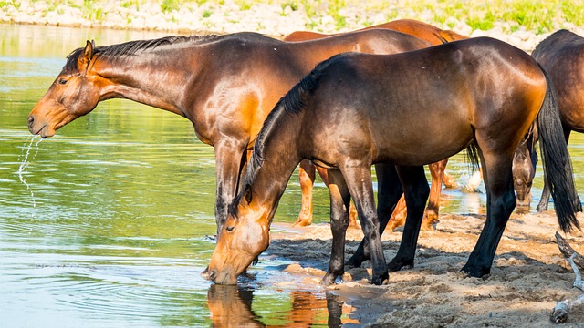 Foto do arquivo: fornecida por 【hotels cassino em assunção paraguai】