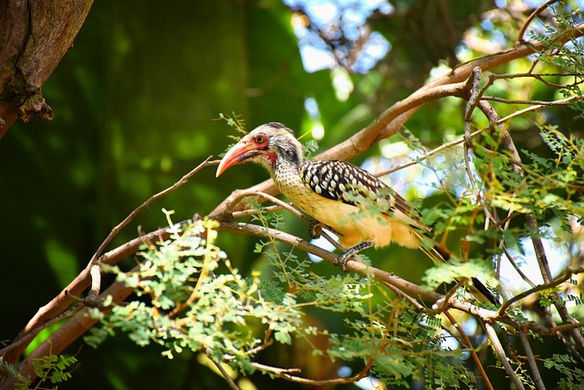 Foto do arquivo: fornecida por 【APOSTA1】