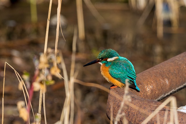 Foto do arquivo: fornecida por 【Palpites da loteria do bicho nacional】