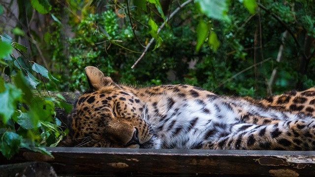 Foto do arquivo: fornecida por 【jogo que tem quebra mola】