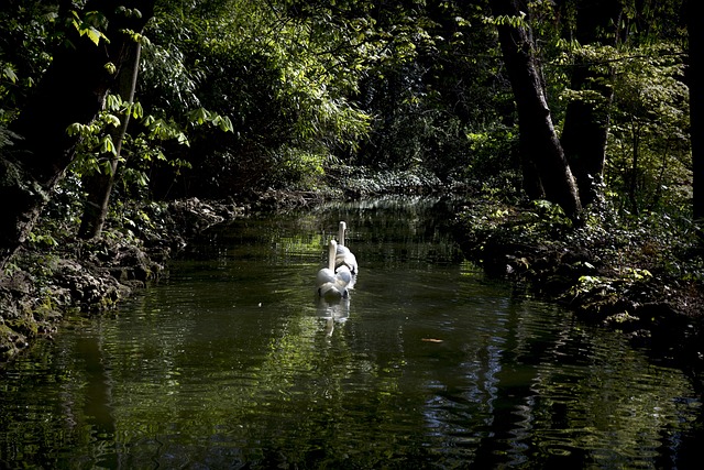 Foto do arquivo: fornecida por 【mega sena 1930 resultado】