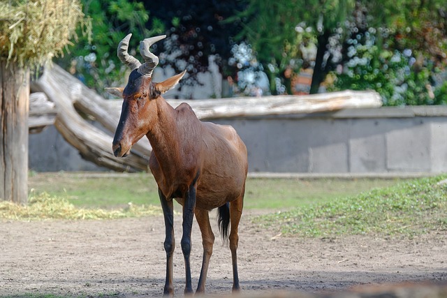 Foto do arquivo: fornecida por 【bets365】