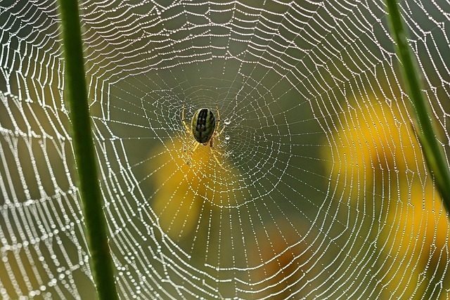 Foto do arquivo: fornecida por 【estrela bet grátis】