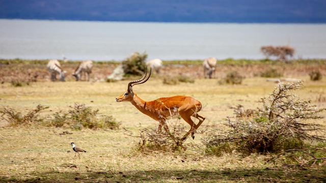 Foto do arquivo: fornecida por 【jogos que dao dinheiro】