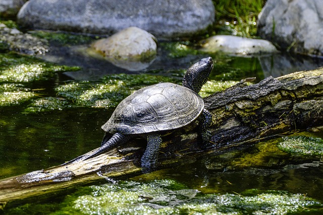 Foto do arquivo: fornecida por 【plataforma nova lançada hoje】