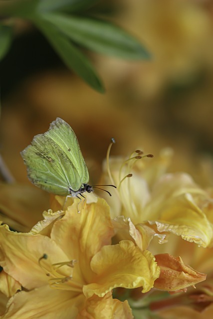 Foto do arquivo: fornecida por 【ganhar pix de graça】