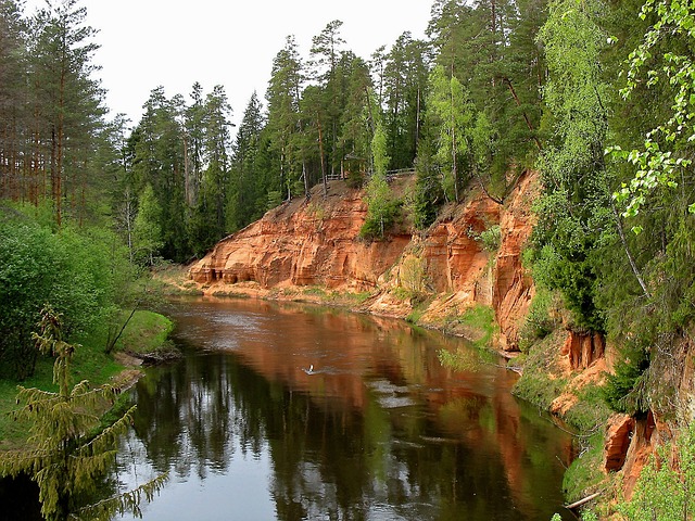 plataforma do tigre