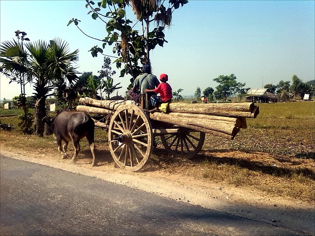 Foto do arquivo: fornecida por 【multicanajs】