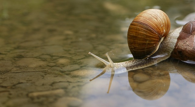 Foto do arquivo: fornecida por 【bet365 fundação】