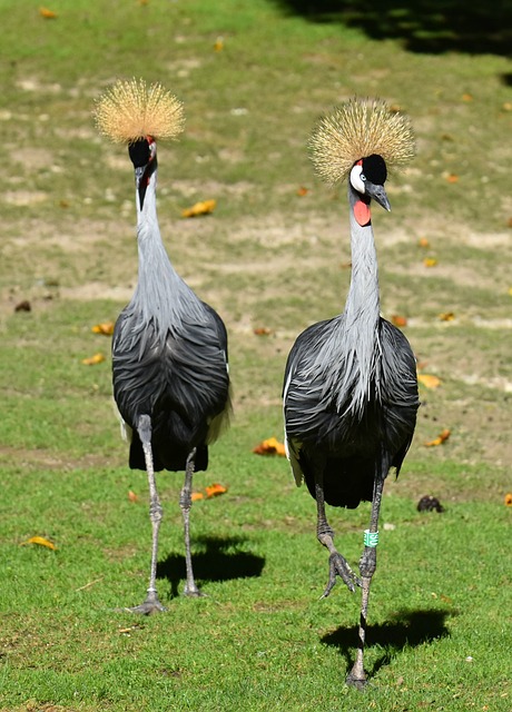 resultado jogo do bicho ptn são paulo