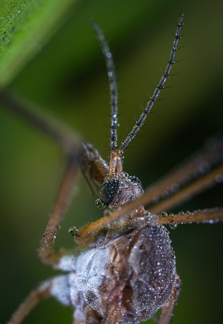 Foto do arquivo: fornecida por 【concurso da lotofácil 1519】